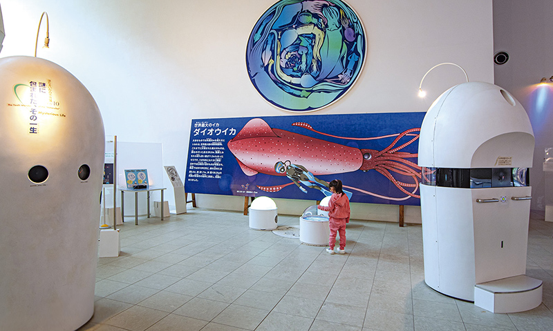 カートピア ほたるいかをはじめとする富山湾の深海魚を学べる展示ホール | SUBARU
