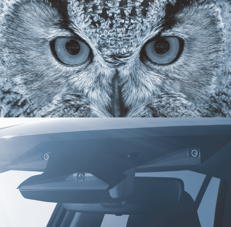 SUBARUの運転支援システム「アイサイト」とフクロウの画像 | SUBARU