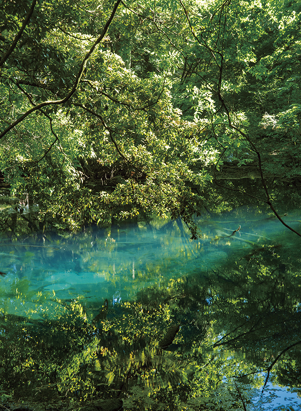 カートピア 陽の光が当たってエメラルドグリーンに輝く丸池様 | SUBARU