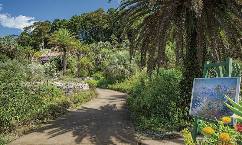カートピア イタリアの地中海をイメージした植物で構成された「ボルディゲラの庭」 | SUBARU