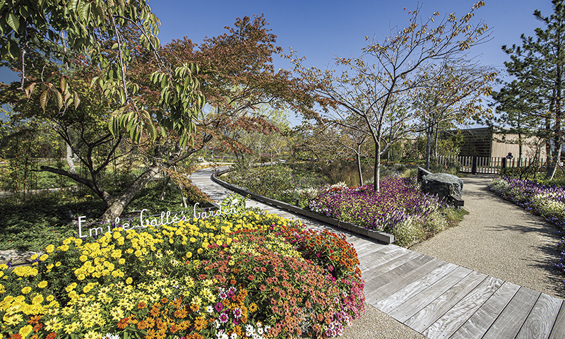 カートピア カラフルな花が咲き誇る庭 | SUBARU