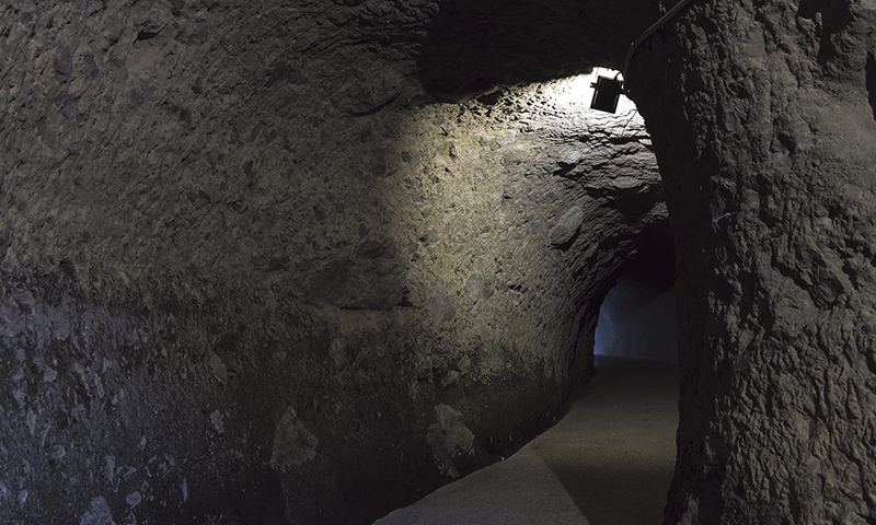 カートピア 青の洞門内の様子 | SUBARU