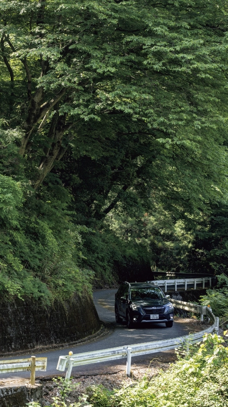 カートピア 神流湖沿いの旧道を走るフォレスターAdvance | SUBARU