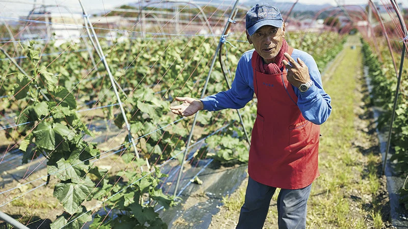 カートピア 原田農園 野菜担当の今井吉勇さん | SUBARU