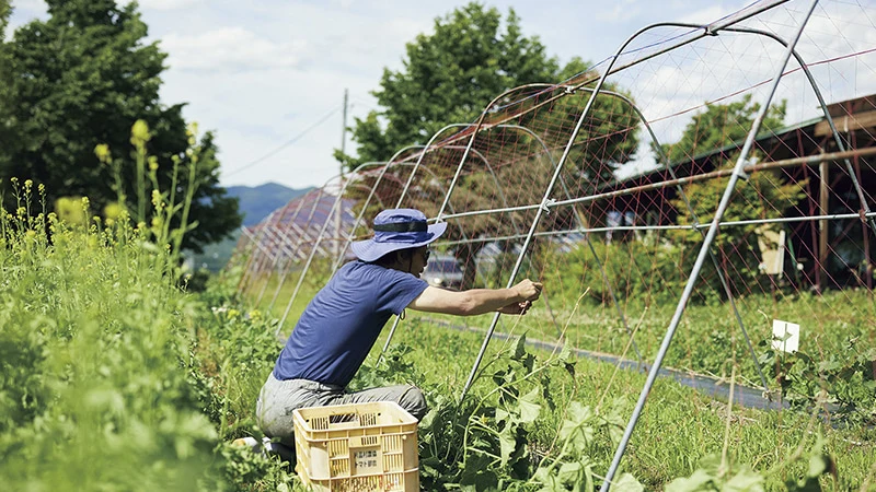 カートピア 農家レストラン　みのりの里の畑 | SUBARU