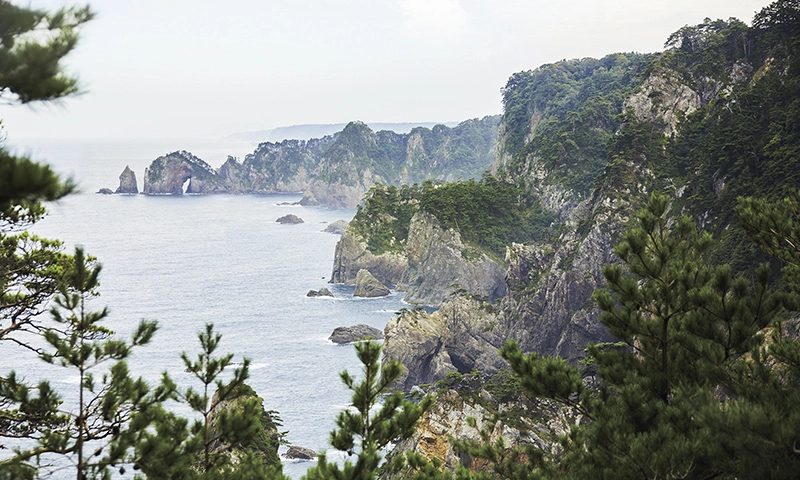 カートピア 北山崎 | SUBARU