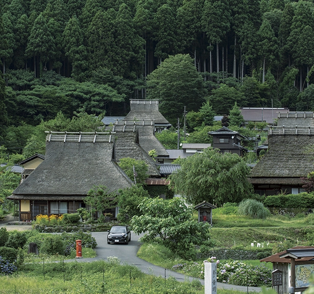 日本の原風景 日本の原風景をたどり、盛夏の緑に包まれる | ドライブ | WEB