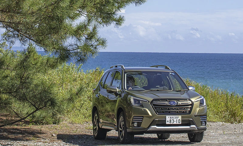 カートピア 青々とした海と松の木を背景に佇むフォレスター | SUBARU