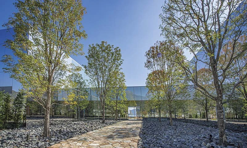 カートピア 下瀬美術館の敷地内にある並木道。 | SUBARU