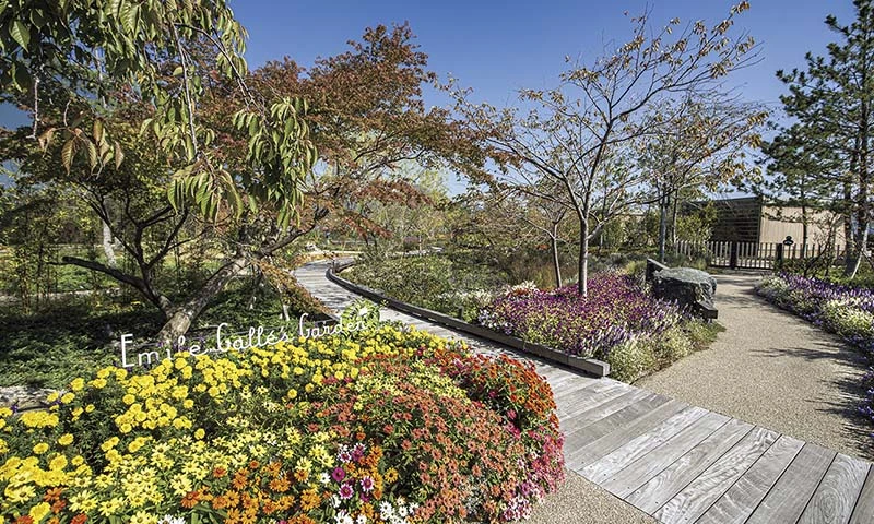 カートピア カラフルな花が咲き誇る庭 | SUBARU