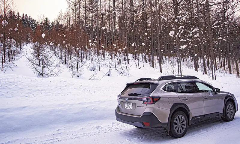 カートピア アウトバック特別仕様車イメージ | SUBARU