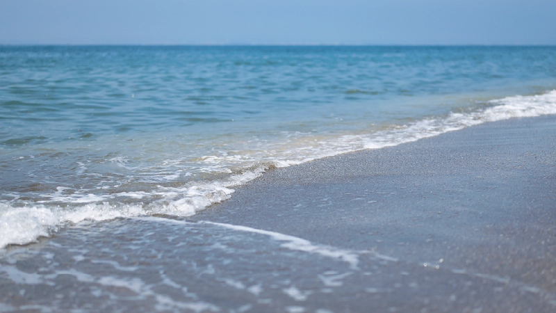 カートピア 富津海水浴場の海岸 | SUBARU