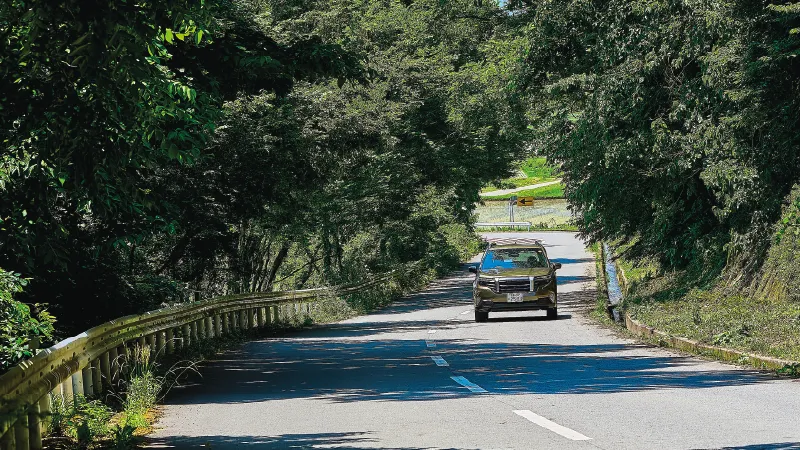 カートピア ワインディングロードを走る新型フォレスターX-BREAK S:HEV EX（オータムグリーン・メタリック） | SUBARU