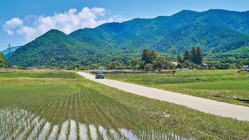 カートピア 青空のなか農道を走る新型フォレスターX-BREAK S:HEV EX（オータムグリーン・メタリック） | SUBARU
