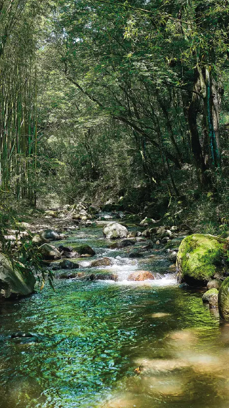 カートピア 「Team Sherpa」内にある小川 | SUBARU