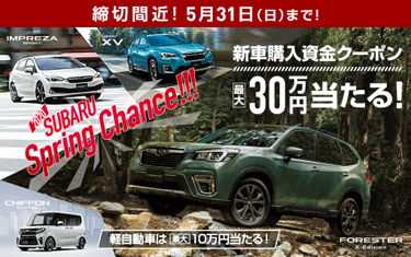 締切間近!新車購入資金30万円当たる!