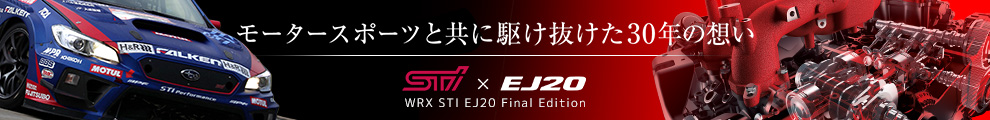 WRX STI EJ20 Final Edition × STI