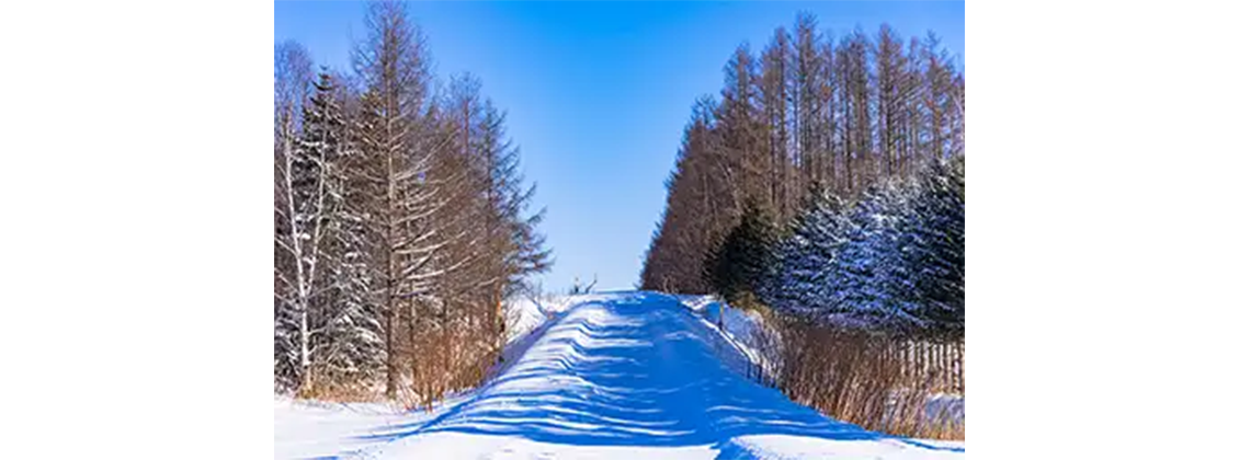脱輪時や雪道などでタイヤを空転させないでください