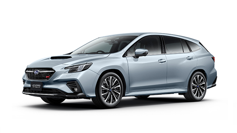 LEVORG LAYBACK VN TypeD