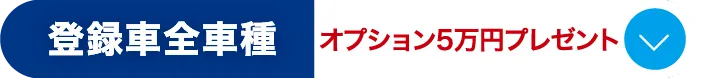 ボタン1 登録車全車種オプション5万円プレゼント