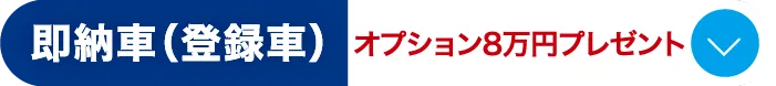 ボタン2 即納車（登録車）オプション8万円プレゼント