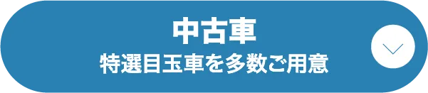 ボタン3 中古車 特選目玉車を多数ご用意