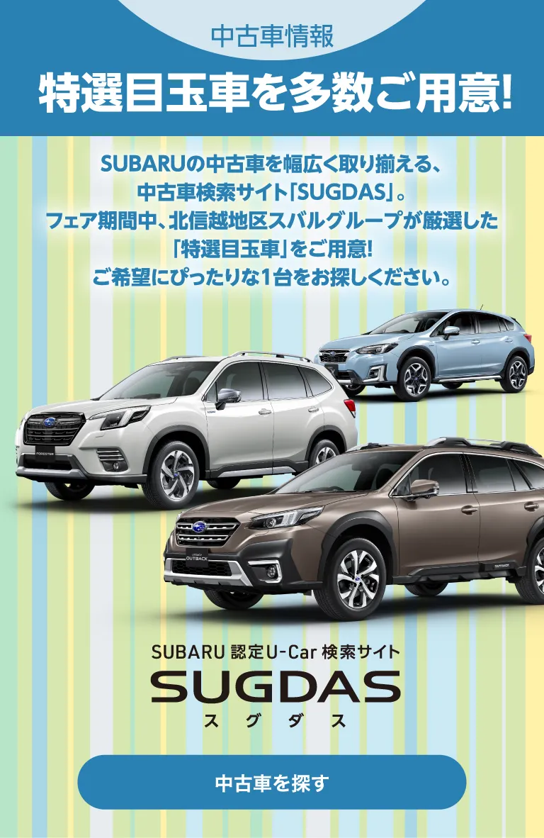 中古車情報 特選目玉車を多数ご用意！