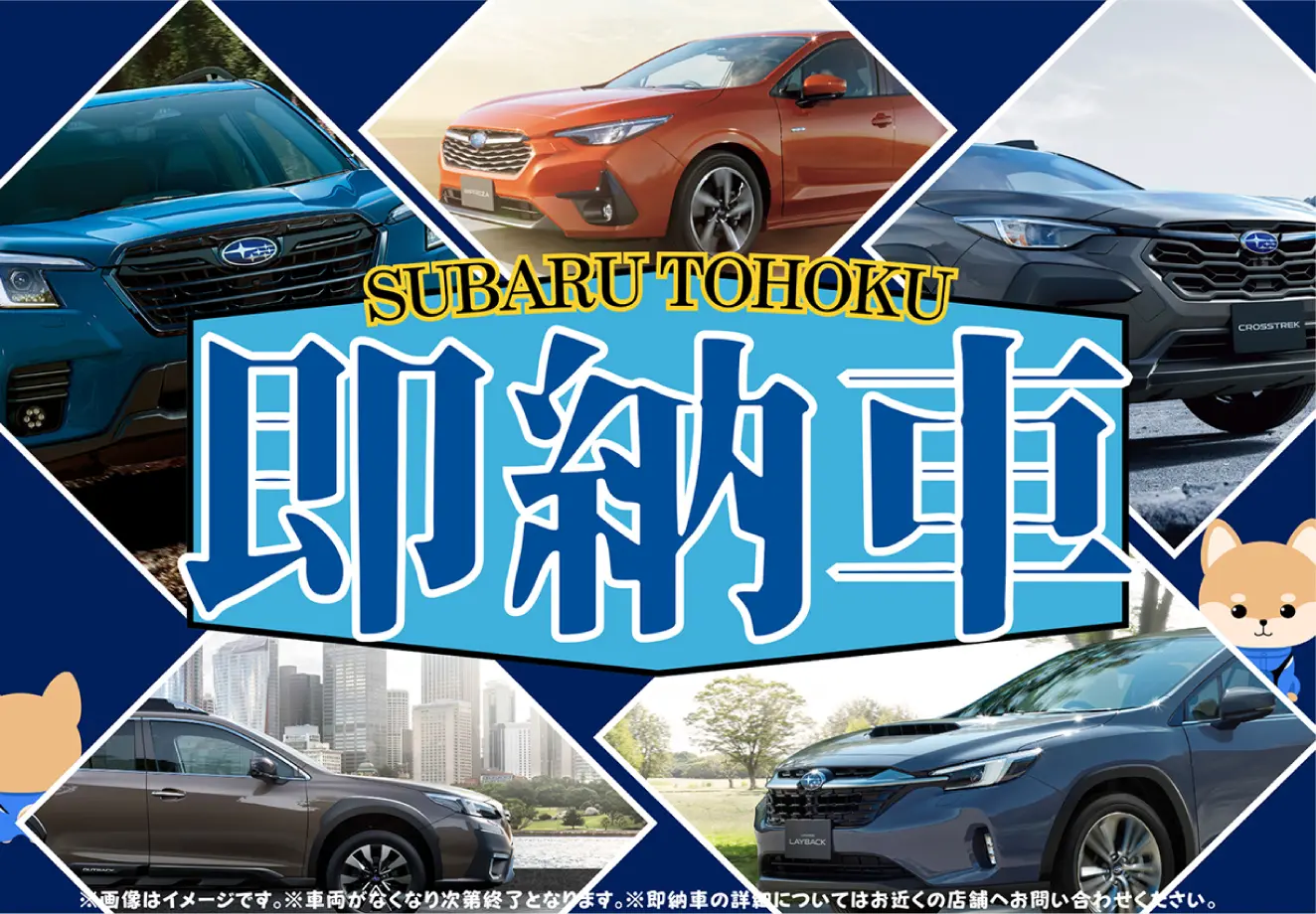 即納車