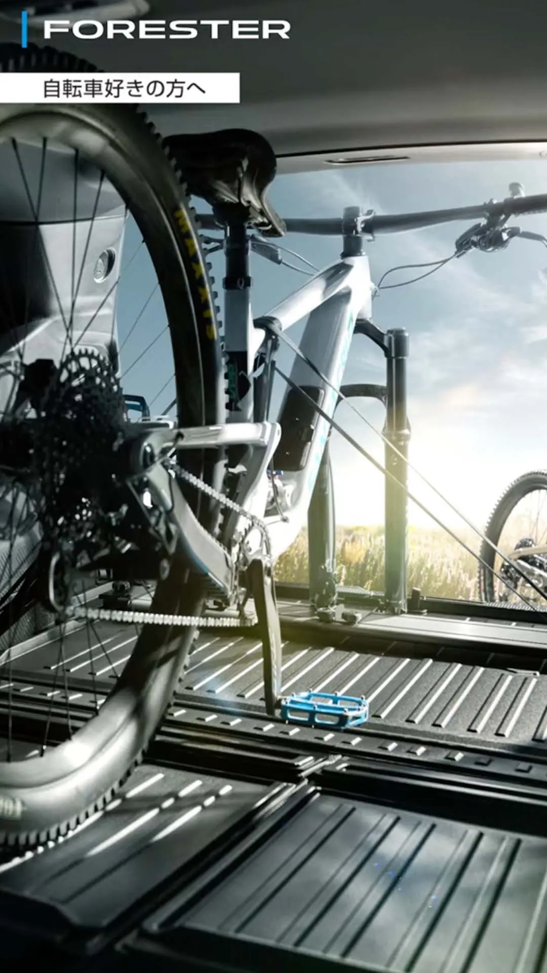 自転車好きの方へ①