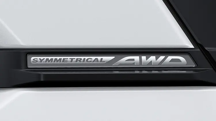 シンメトリカルAWD Dピラーカバーオーナメント（ダークグレー）