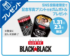 LOTTE BLACKBLACK