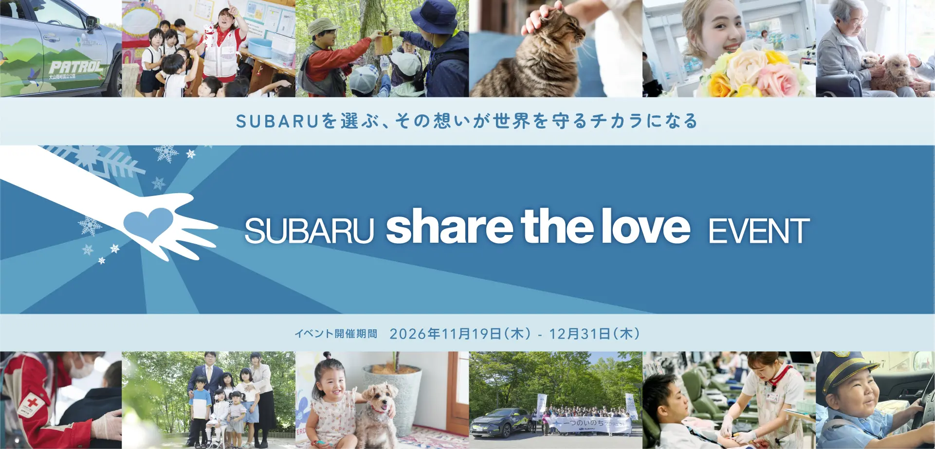Share the Love