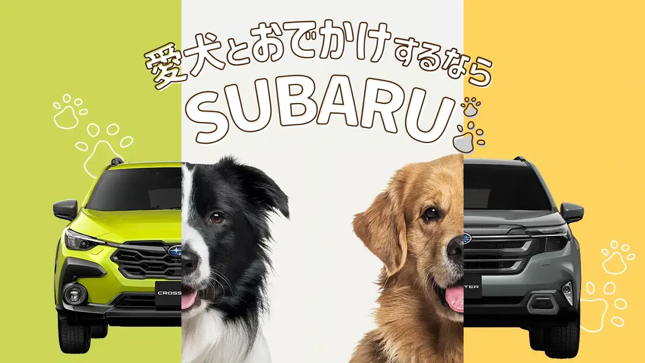 愛犬とお出かけするならSUBARU