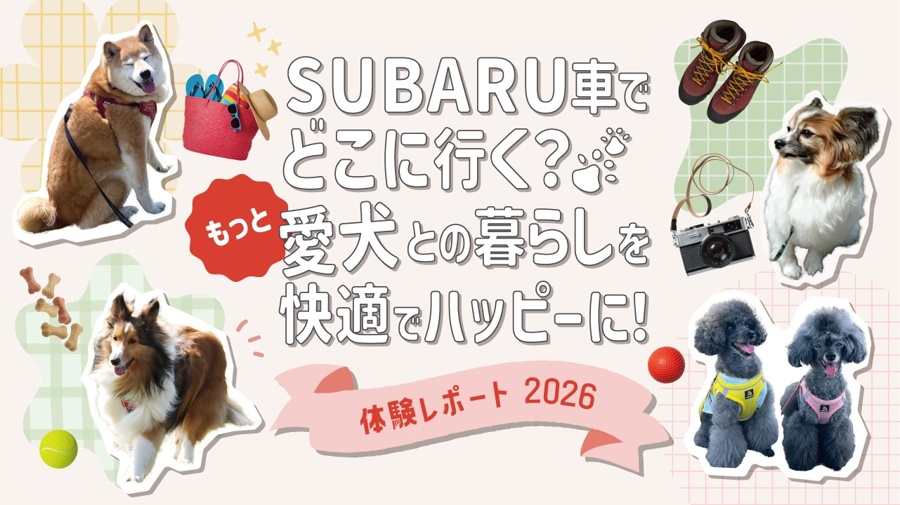 宿泊プラン付きモニター試乗キャンペーン 体験レポート