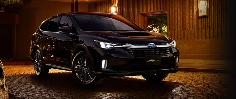 レイバック　特別仕様車 Black Selection