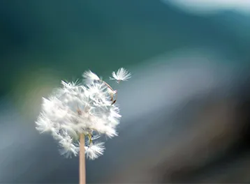 ひとのいのち イメージ