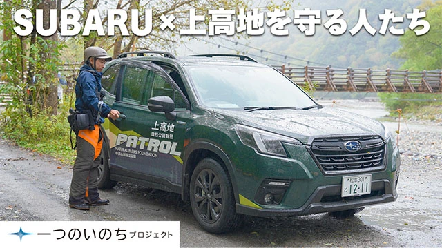 上高地での活動