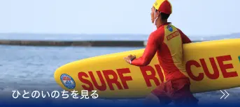 自然のいのちを見る