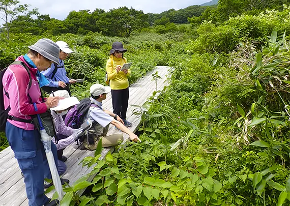 大山イメージ