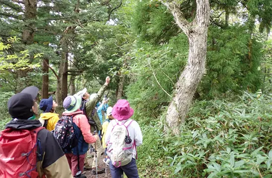 大山イメージ