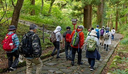 大山の自然を愉しもう！活動イメージ