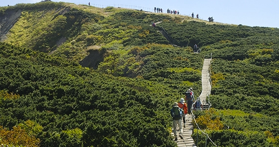 大山国立公園 活動イメージ3