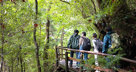 屋久島国立公園 活動イメージ3