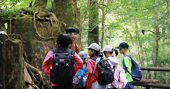 屋久島国立公園 活動イメージ4