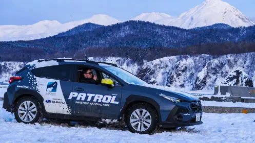 自然のいのち 活動イメージ パトロール活動1