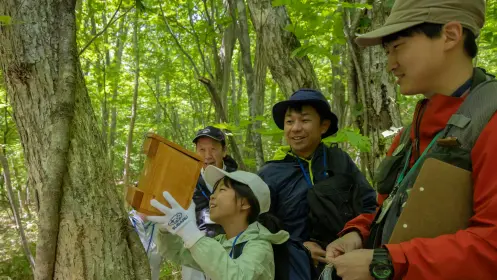 自然のいのち 活動イメージ 野鳥観察