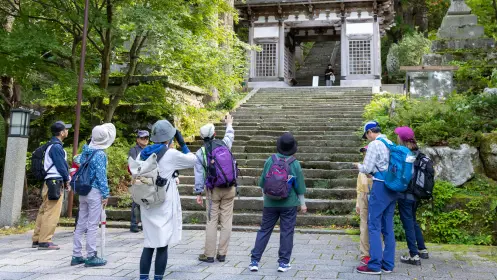 自然のいのち 活動イメージ ガイドウォーク