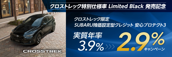 クロストレック 特別金利2.9%