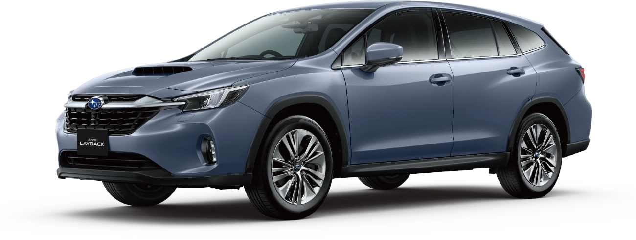 PHOTO：アステロイドグレー・パール（有料色）