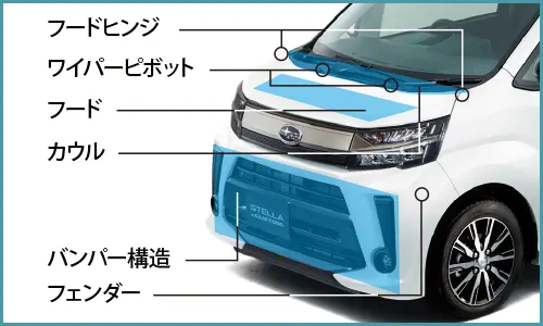 ステラ　歩行者傷害軽減ボディ イメージ